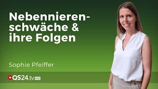 Stress Ernährung und Hormone Wege zur Bewältigung von Nebennierenschwäche  QS24 [upl. by Ailey902]