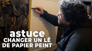 Changer un lé de papier peint arraché par son chat qui est trop teubé [upl. by Gonzalez]