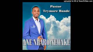 Trymore BandeAne nharo newake Official audio 2024 [upl. by Eniliuqcaj]