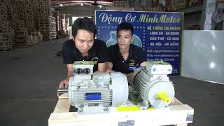 3kw 4HP 4 Pole đấu điện motor 3 pha Parma đo ampe chưa tải MinhMotor 0901460163 [upl. by Reina]