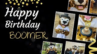 Happy Birthday to the Best Mascot Boomer the Bobcat [upl. by Asatan]