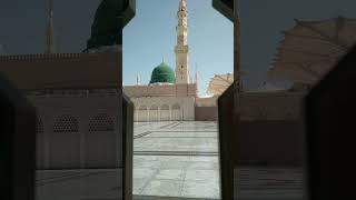 madina live madina live makkah live yt shorts [upl. by Boris]