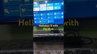 hellobox 8 Forever Update [upl. by Mcclary]