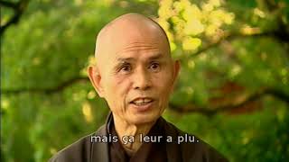 Thich Nhat Hanh on Impermanence 2004 EngStFr [upl. by Scarito]