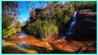 Solo Hike Braeside Walking Track Blackheath Blue Mountains [upl. by Nodnart]