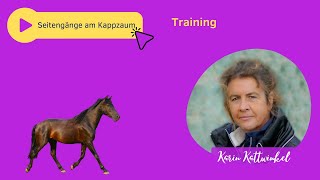 Seitengänge am Kappzaum  Pferdetraining  Karin Kattwinkel [upl. by Adner499]