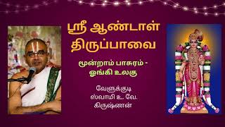 ஸ்ரீ ஆண்டாள் திருப்பாவை உபன்யாசம்  மூன்றாம் பாசுரம் ஓங்கி  Part 3 Swamy Velukkudi Krishnan [upl. by Legge]