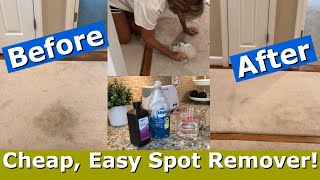 DIY carpet stain remover  for pennies Works QUICK on set in stains  LIVING GRATEFULLY YOUTUBE [upl. by Wolsniw]