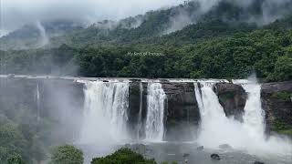 📍Athirapally waterfalls Kerala Rainforest resort [upl. by Richie]