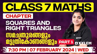 Class 7 Mathematics  Squares and Right Triangles  സമചതുരങ്ങളും മട്ടത്രികോണങ്ങളും  Xylem Class 7 [upl. by Hillinck330]