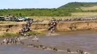 Africa  July 2011  The Migration across the Mira River [upl. by Sophia41]