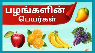 பழங்களின் பெயர்கள் தமிழ் amp ஆங்கிலம்  Fruits Name Tamil amp English  கனிகளின் பெயர்கள்URCHAGA ULAGAM [upl. by Seafowl]