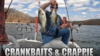 Crankbaits amp Crappie 462022 [upl. by Haelam535]