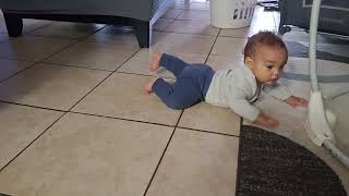 7 months old baby crawling [upl. by Hendricks]