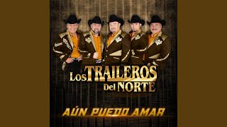 Los Traileros del Norte  Amor Brutal  Video Oficial [upl. by Avilys]