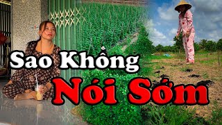 Sao Không Nói Sớm videogiaitri vochongson nguyenhuyvlog [upl. by Haldane]