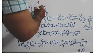 Reactivity of Quinoline [upl. by Feliza542]