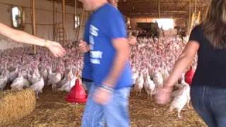 Fox 19 Morning Crew Chicken Dancing at Tewes Farm [upl. by Ellered]