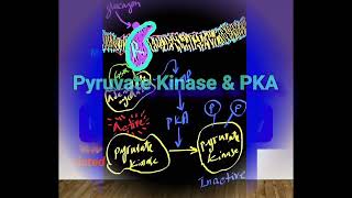 PKA amp Inhibition of Glycolysis Metabolism Made Easy [upl. by Anayit]