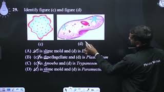 Identify figure c and figure d [upl. by Lenuahs]