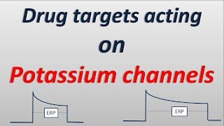 Important drug targets acting on Potassium channels [upl. by Andel]