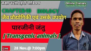 पारजीनी जंतु  Transgenic animals  Class 12 Biology plsirchitrangi [upl. by Barbaresi]