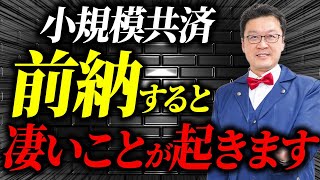 【衝撃】今、小規模共済を前納すると大変なことになります！個人事業主・経営者の方は絶対見てください！ [upl. by Yesnikcm]