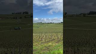 View From Chateau Quinus  En Primeur Week 2024 wine stemilion enprimeur [upl. by Yebloc]