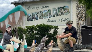 Gatorland [upl. by Nevai]