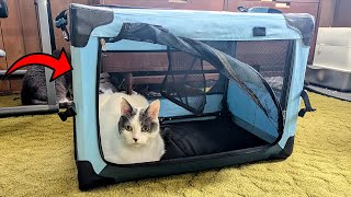 Easy FoldUp Pet Crate for WorryFree Travel [upl. by Hindorff464]