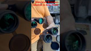 best budget 10x50 binoculars waterproof celestron vs asika birding sightseeing shorts [upl. by Ylnevaeh826]