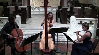 Canon in D by J Pachelbel for flute cello and harp [upl. by Adriana]