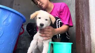 Goluu lai Bath 🧼 🐶Samtharkalimpong LB vlogs75 [upl. by Perl488]