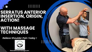 Mastering the Serratus Anterior Insertion Origin and Action for Massage Therapists [upl. by Leandro812]