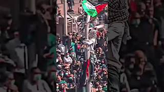 I always support Falestine 🇵🇸 new statusfalestineislamicmusicyoutubeshorts [upl. by Yebot224]