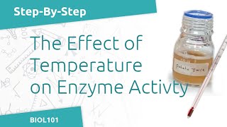 Effect of Temperature on Catechol Oxidase Activity BIOL101  Enzymatic Reactions Lab [upl. by Atiana430]