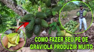 Seu pé de graviola não dá frutos veja como resolver e produzir muita Graviola [upl. by Berman80]