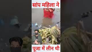 छठ पूजा के दौरान पानी में तैरते हुए आया सांप shorts chhathpuja [upl. by Bills]