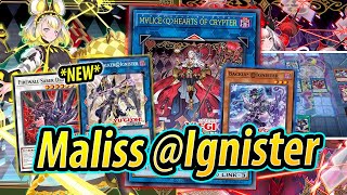 Maliss Ignister DECK TESTING Alliance Insight [upl. by Aniuqaoj]