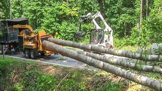 Amazing Dangerous Wood Chipper Machines in Action Incredible Modern Tree Shredder Machines Working [upl. by Yearwood81]