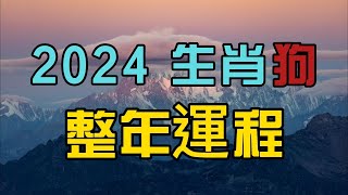 2024年生肖狗整體運程，狗年人要特別小心關注家人身體健康問題！ [upl. by Regen5]