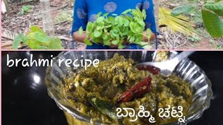 Brahmi recipe ondelaga soppina chatniಬ್ರಾಹ್ಮಿ ಚಟ್ನಿ [upl. by Sand]