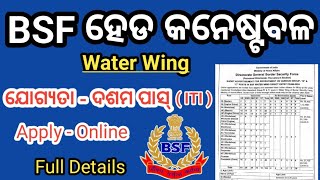 bsf water wing recruitment 2024  bsf water wing kya hota hai [upl. by Illona]