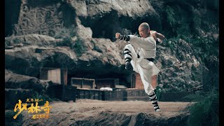 Rising Shaolin The Protector  Legend of Debao 2022 Trailer [upl. by Ellenor]