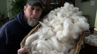 How Were Processing Our Home Grown Cotton [upl. by Hege216]