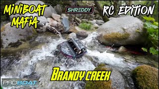 Mini Boat Mafia RC Edition  ProBoat 16 Jetstream ShreddyLyfestyle proboatmodels [upl. by Nnoj120]