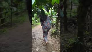 Coffee plantation tourcoorg youtubeshorts viralvideo travel exploremore coffeeplantation tour [upl. by Eidurt507]