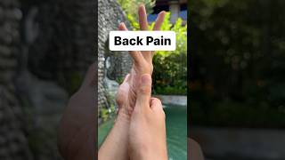 Chinese Medicine Back Pain Acupoints [upl. by Ihculo]