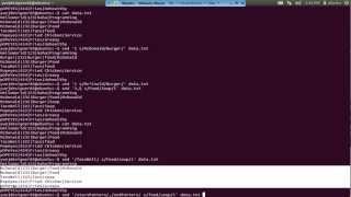 UNIX14 Sort and Sed Commands Video Tutorial [upl. by Anairad]