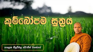 කුම්බෝපම සුත්‍රය Hasalaka Seelawimala Thero [upl. by Iegres461]